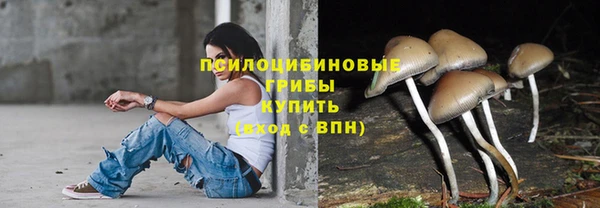 spice Липки