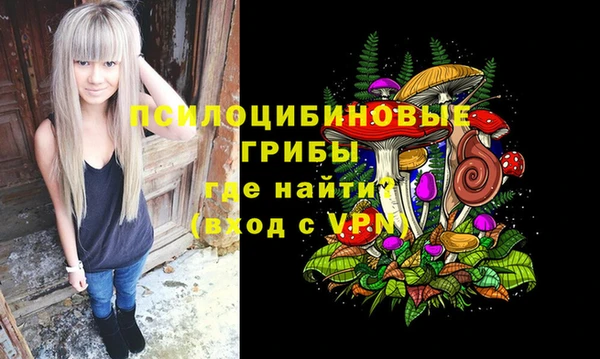 spice Липки