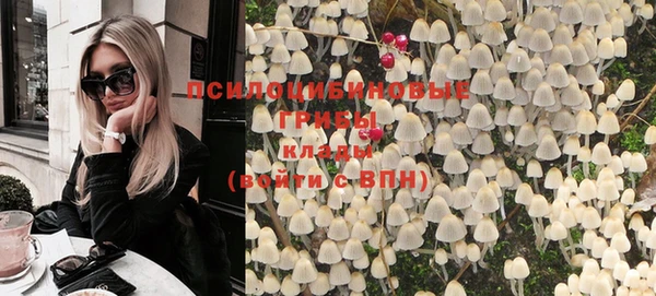 2c-b Лиски
